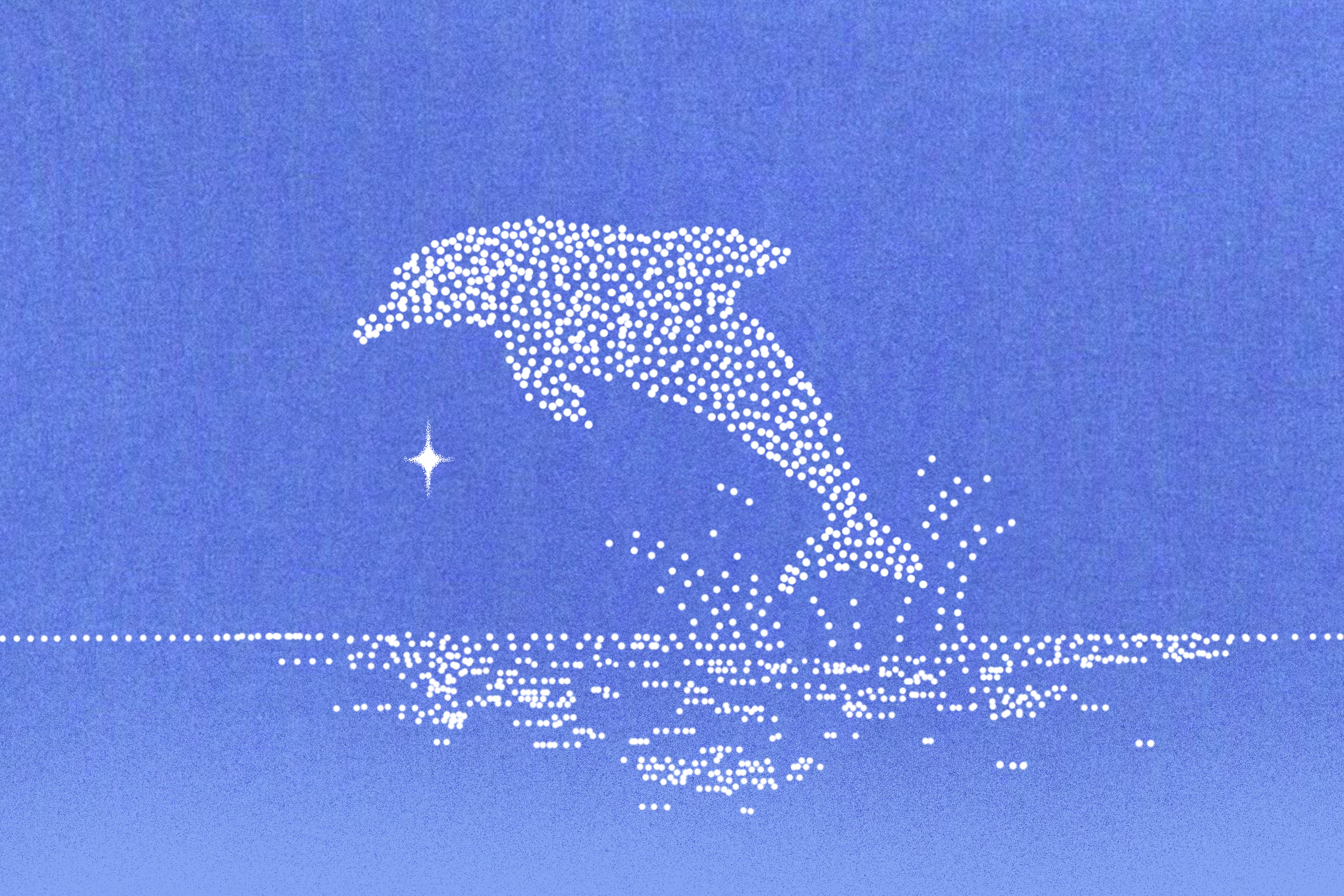 Dolphin X1 8B