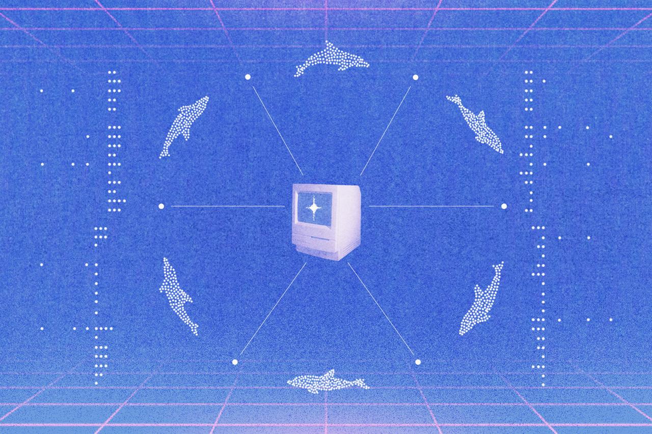 Dolphin Network global compute